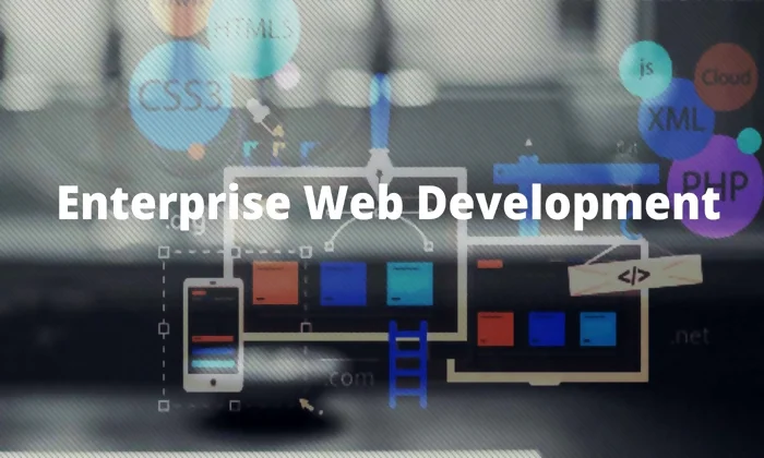 Enterprise Web Development The Definitive Guide 2022